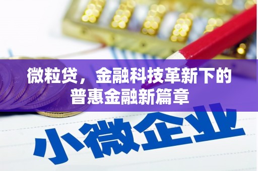 卑南微粒贷，金融科技革新下的普惠金融新篇章