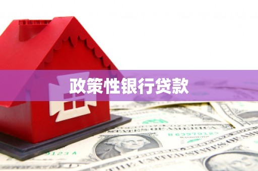卑南政策性银行贷款