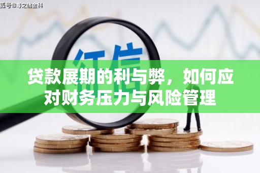 卑南贷款展期的利与弊，如何应对财务压力与风险管理