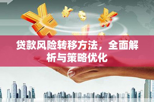 卑南贷款风险转移方法，全面解析与策略优化