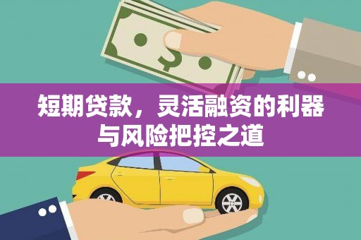 卑南短期贷款，灵活融资的利器与风险把控之道