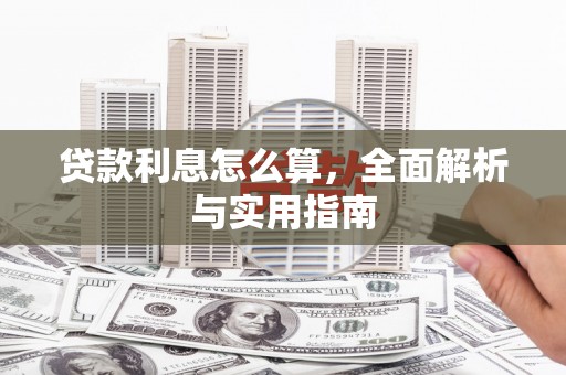 卑南贷款利息怎么算，全面解析与实用指南