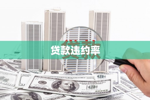 卑南贷款违约率
