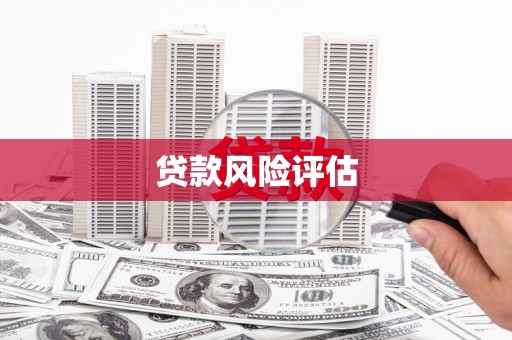 卑南贷款风险评估
