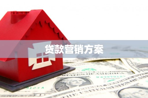 卑南贷款营销方案