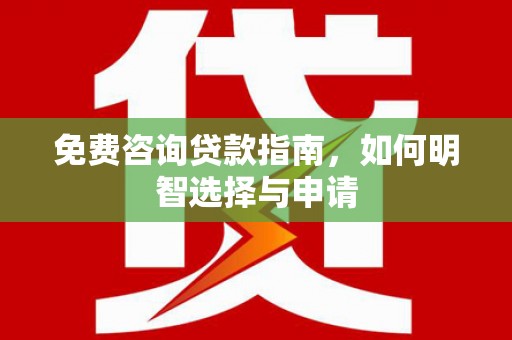 卑南免费咨询贷款指南，如何明智选择与申请