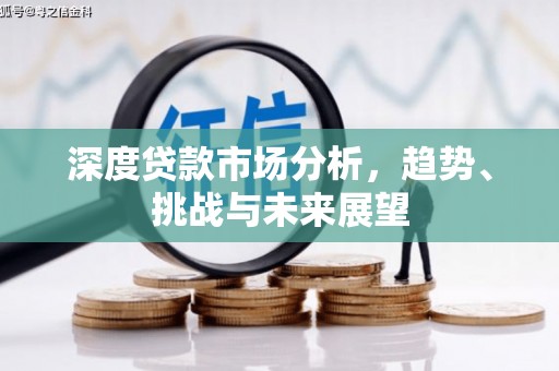 卑南深度贷款市场分析，趋势、挑战与未来展望
