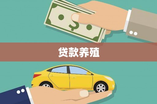 卑南贷款养殖