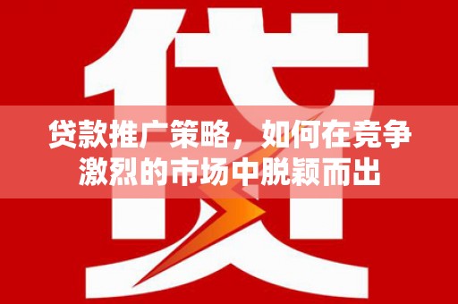 卑南贷款推广策略，如何在竞争激烈的市场中脱颖而出