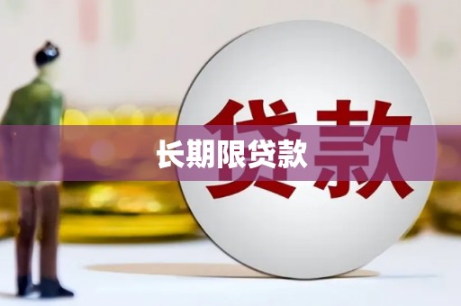 卑南长期限贷款