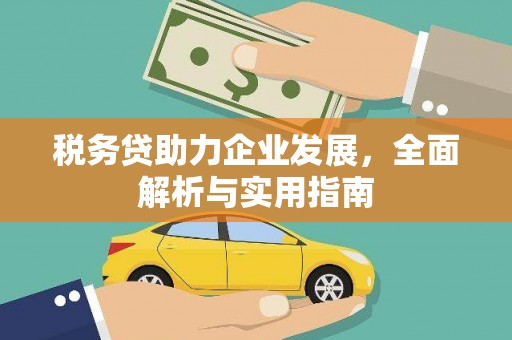 卑南税务贷助力企业发展，全面解析与实用指南