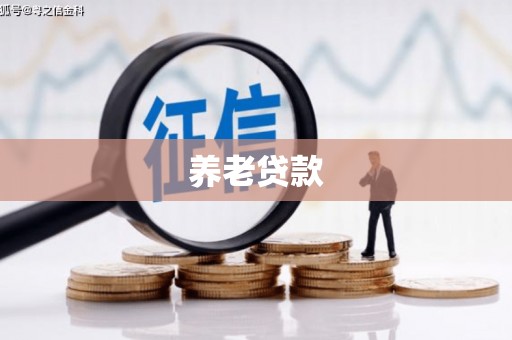 卑南养老贷款