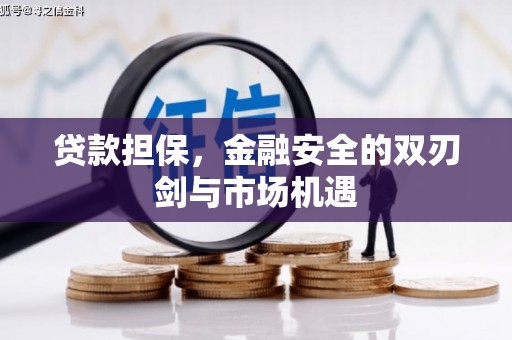 卑南贷款担保，金融安全的双刃剑与市场机遇