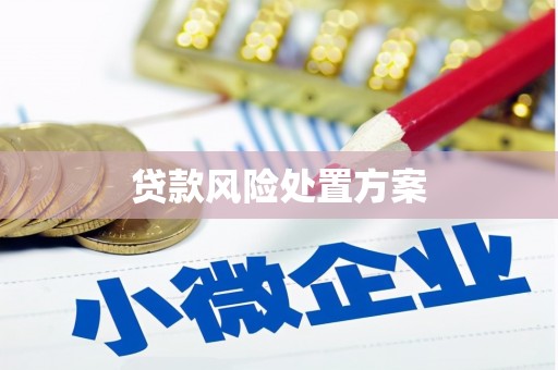 卑南贷款风险处置方案