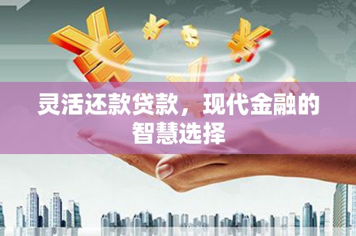 卑南灵活还款贷款，现代金融的智慧选择