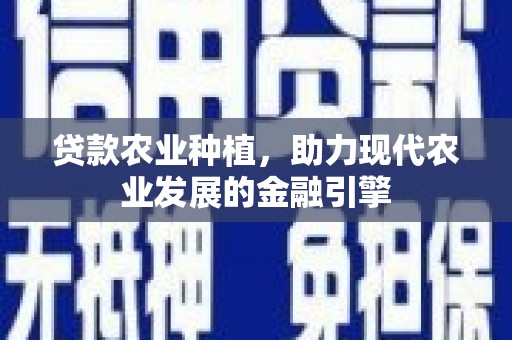 卑南贷款农业种植，助力现代农业发展的金融引擎