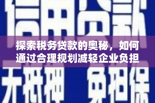 卑南探索税务贷款的奥秘，如何通过合理规划减轻企业负担