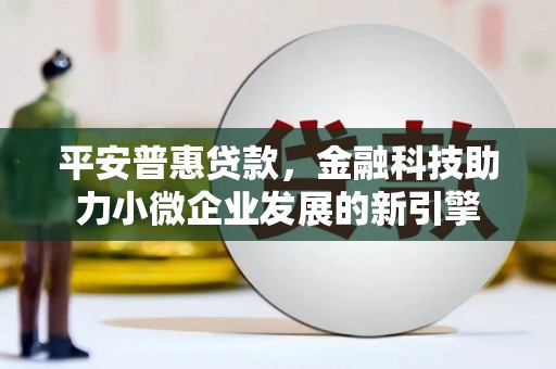 卑南平安普惠贷款，金融科技助力小微企业发展的新引擎