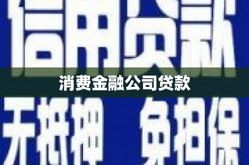 卑南消费金融公司贷款