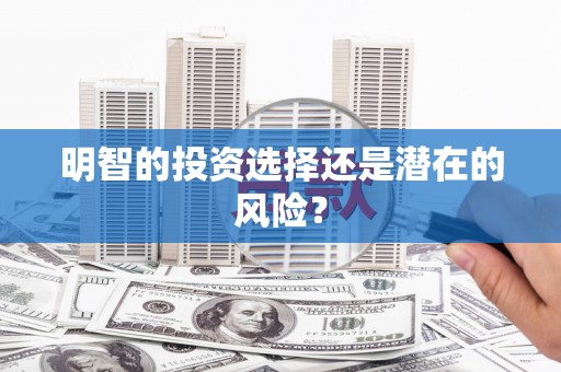 卑南明智的投资选择还是潜在的风险？