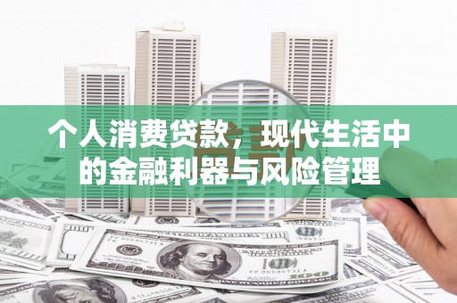 卑南个人消费贷款，现代生活中的金融利器与风险管理
