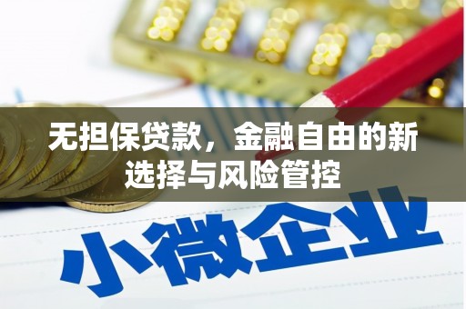 卑南无担保贷款，金融自由的新选择与风险管控