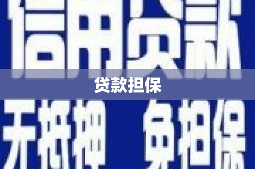 卑南贷款担保