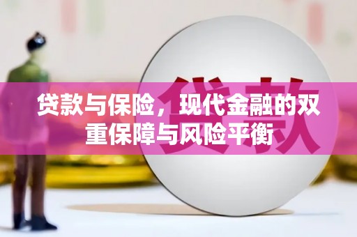 卑南贷款与保险，现代金融的双重保障与风险平衡