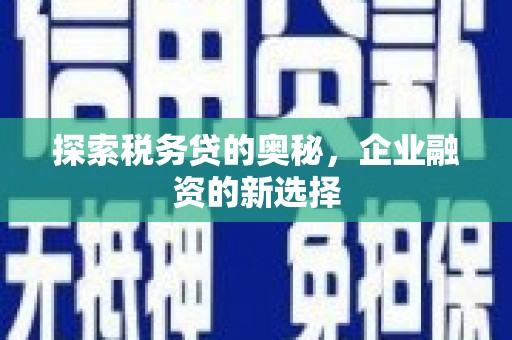 卑南探索税务贷的奥秘，企业融资的新选择