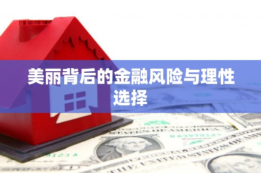 卑南美丽背后的金融风险与理性选择