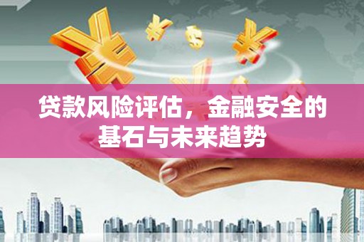 卑南贷款风险评估，金融安全的基石与未来趋势