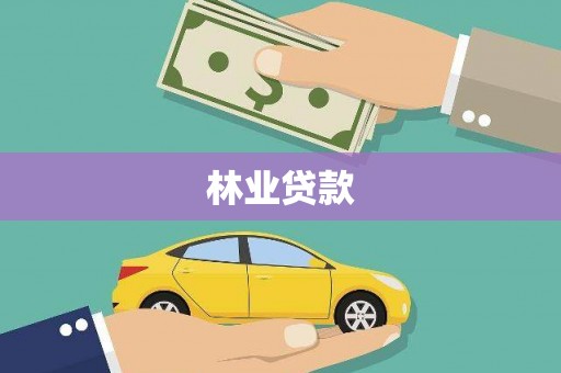 卑南林业贷款