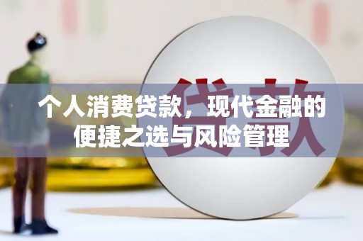卑南个人消费贷款，现代金融的便捷之选与风险管理