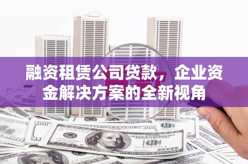卑南融资租赁公司贷款，企业资金解决方案的全新视角