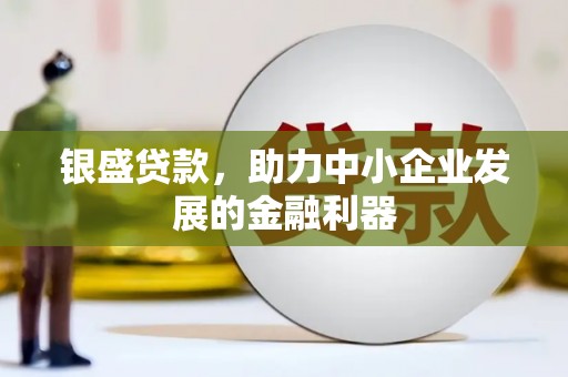 卑南银盛贷款，助力中小企业发展的金融利器