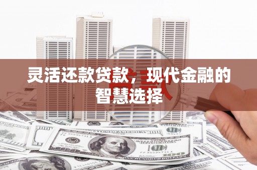 卑南灵活还款贷款，现代金融的智慧选择