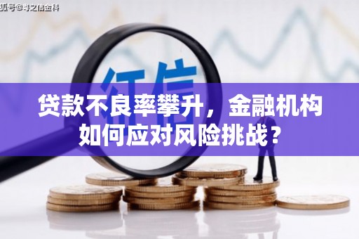 卑南贷款不良率攀升，金融机构如何应对风险挑战？