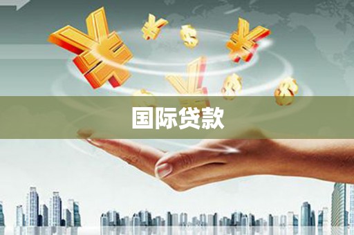 卑南国际贷款