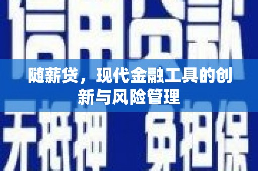 卑南随薪贷，现代金融工具的创新与风险管理