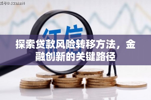 卑南探索贷款风险转移方法，金融创新的关键路径