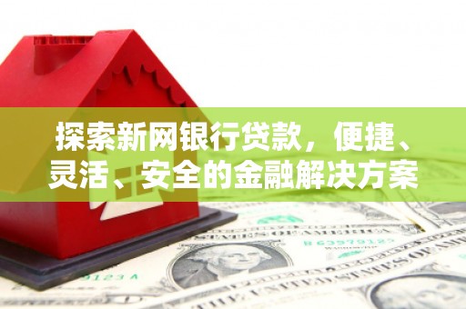 卑南探索新网银行贷款，便捷、灵活、安全的金融解决方案