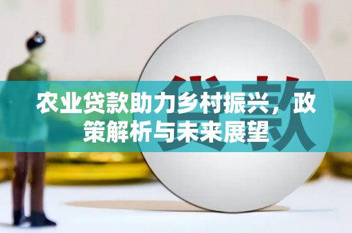 卑南农业贷款助力乡村振兴，政策解析与未来展望