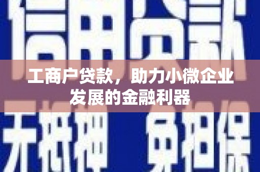 卑南工商户贷款，助力小微企业发展的金融利器