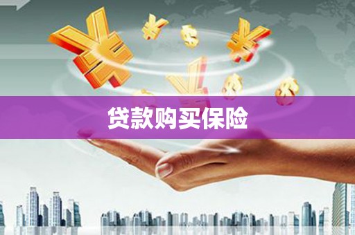 卑南贷款购买保险