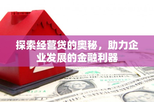 卑南探索经营贷的奥秘，助力企业发展的金融利器