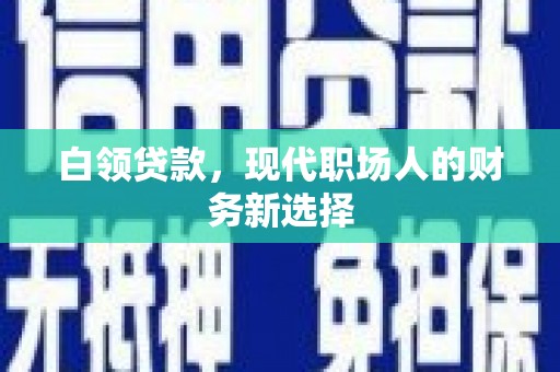 卑南白领贷款，现代职场人的财务新选择