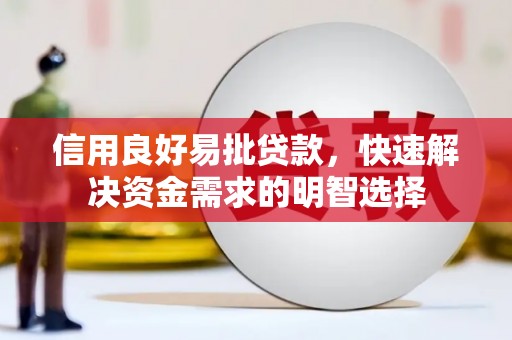 卑南信用良好易批贷款，快速解决资金需求的明智选择