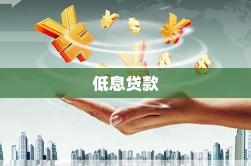 卑南低息贷款