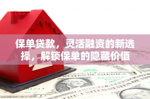 卑南保单贷款，灵活融资的新选择，解锁保单的隐藏价值