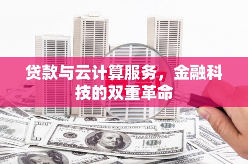 卑南贷款与云计算服务，金融科技的双重革命